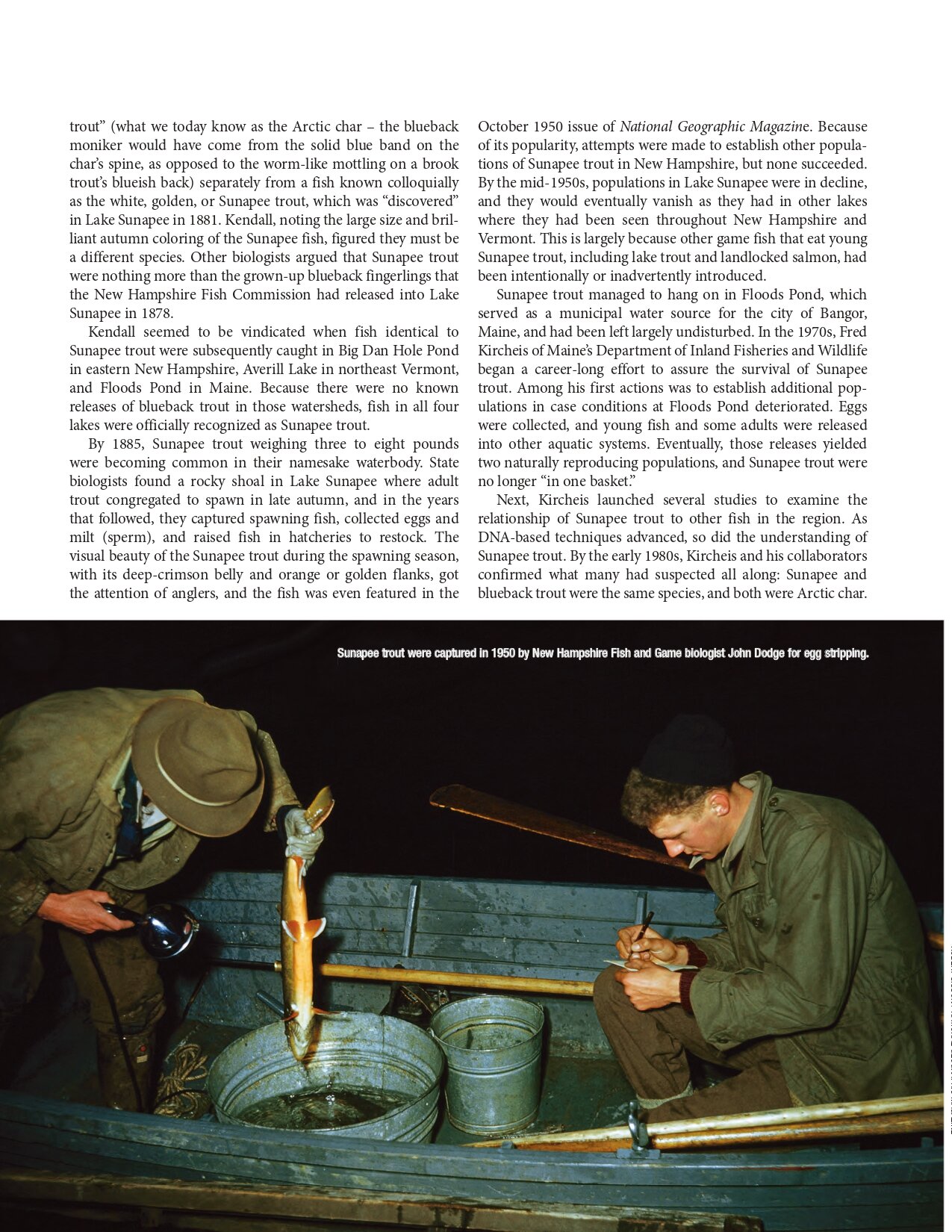 Litvaitis 2019 - A fish of legend_page-0003.jpg