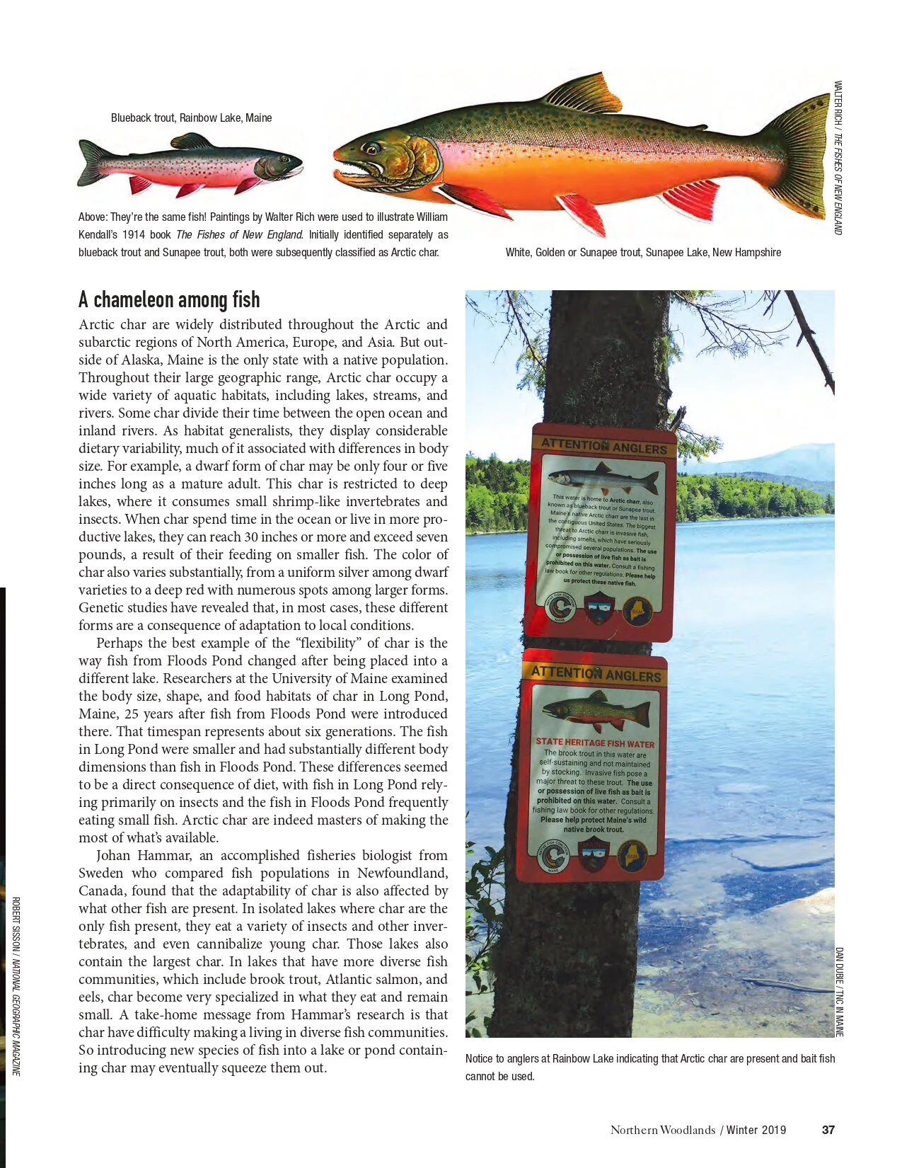 Litvaitis 2019 - A fish of legend_page-0004.jpg