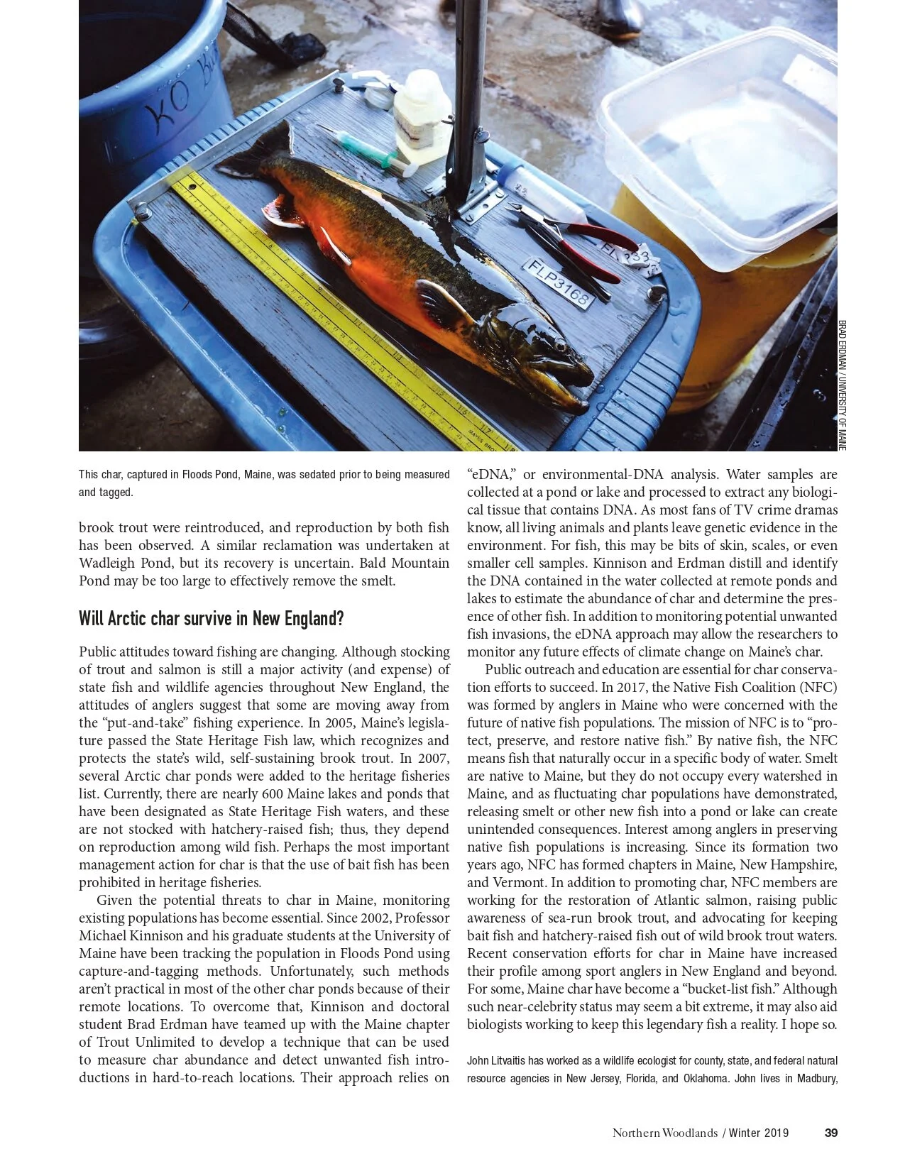 Litvaitis 2019 - A fish of legend_page-0006.jpg