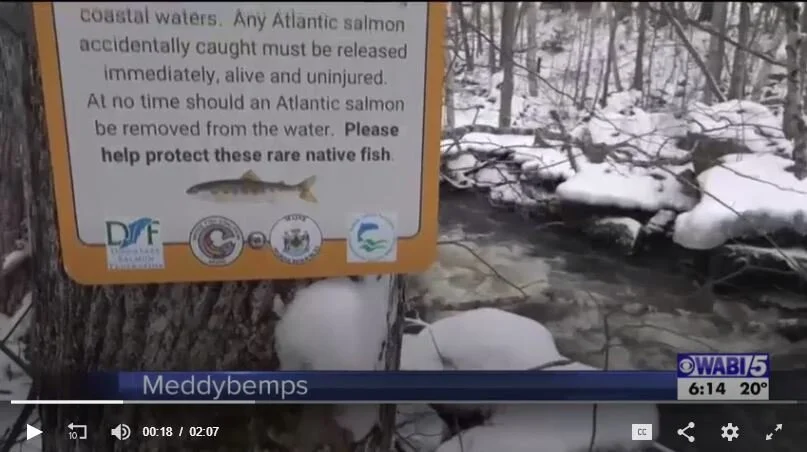Upper Denny's River Dam Removed