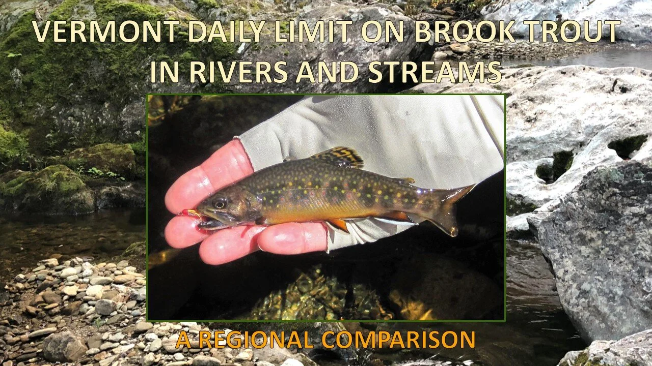 Vermont's Daily Bag Limit on Brook Trout (A Regional Comparison)