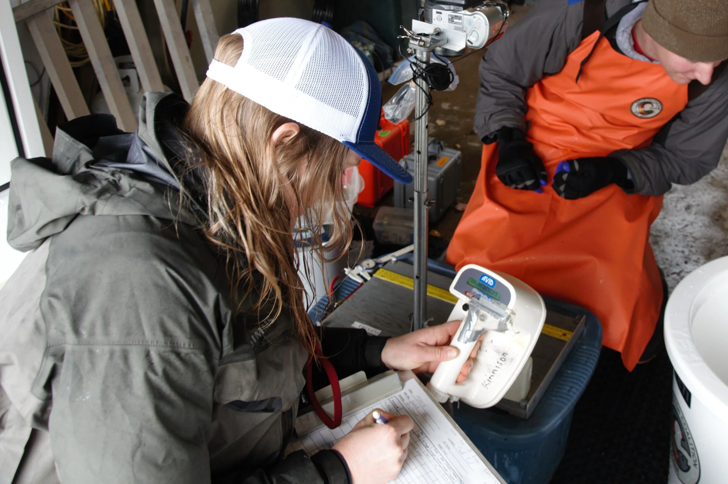 Avid Identification Systems Steps Up For Maine's Rare Arctic Charr ...