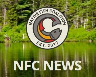 Winter 2020 Newsletter