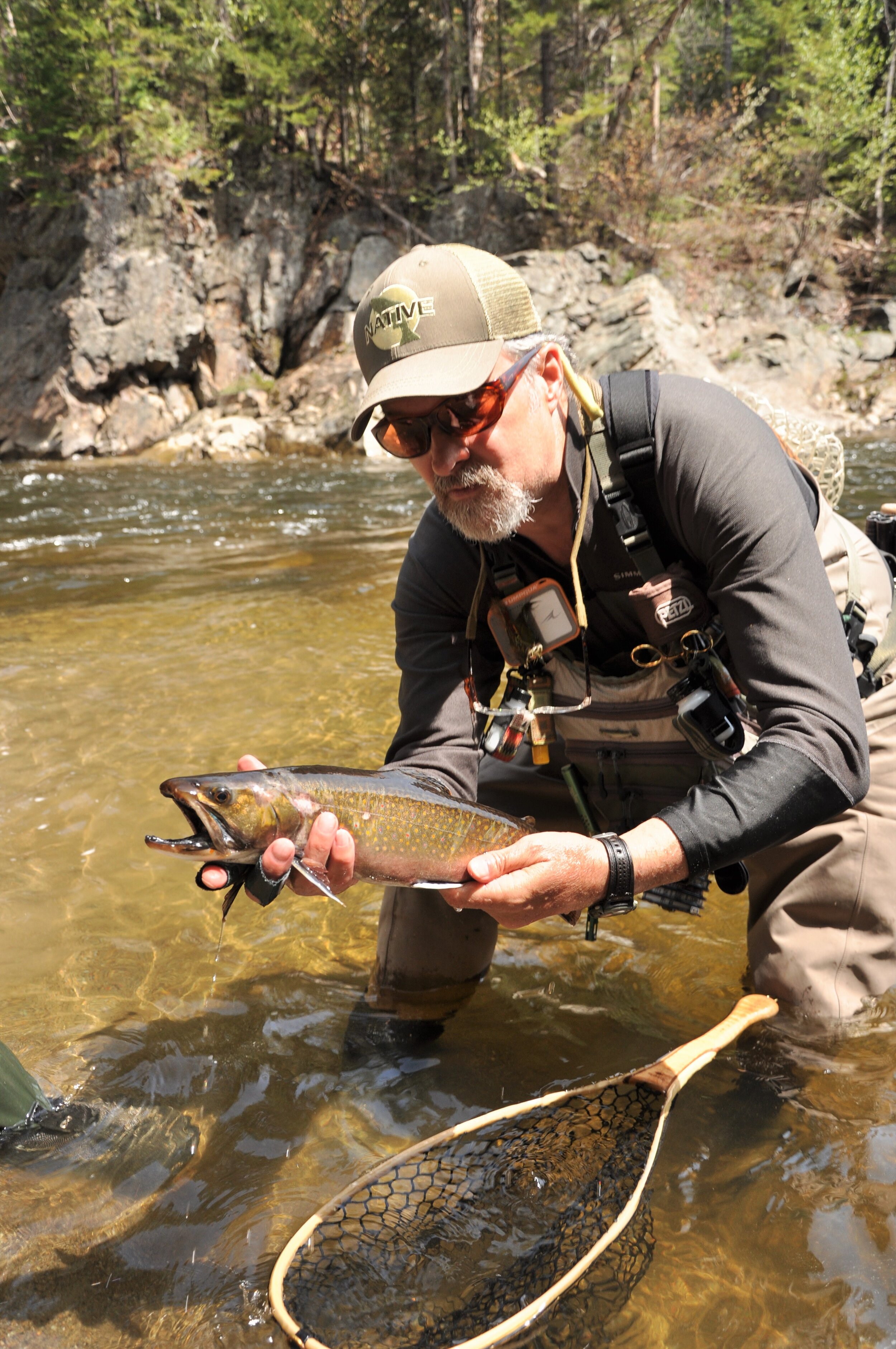 New Hampshire — Native Fish Coalition