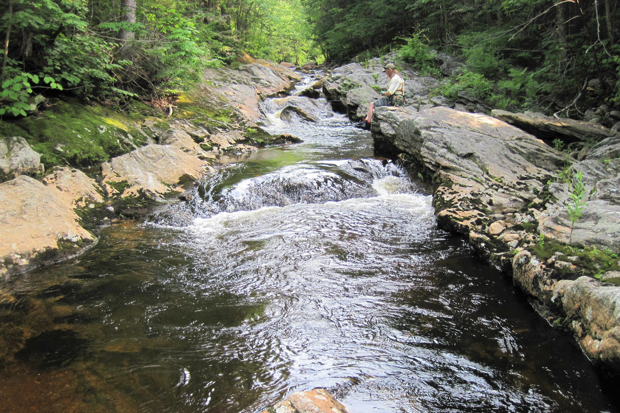 New Hampshire — Native Fish Coalition