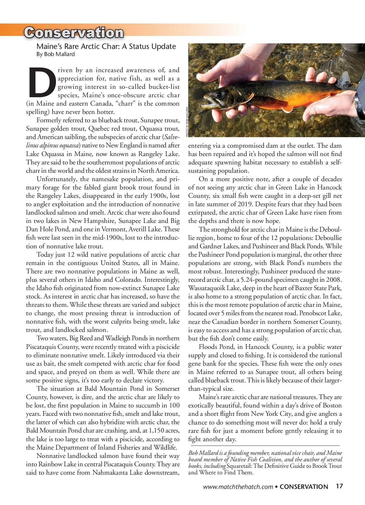 NFC Executive Director Bob Mallard on Maine's Arctic Charr (American