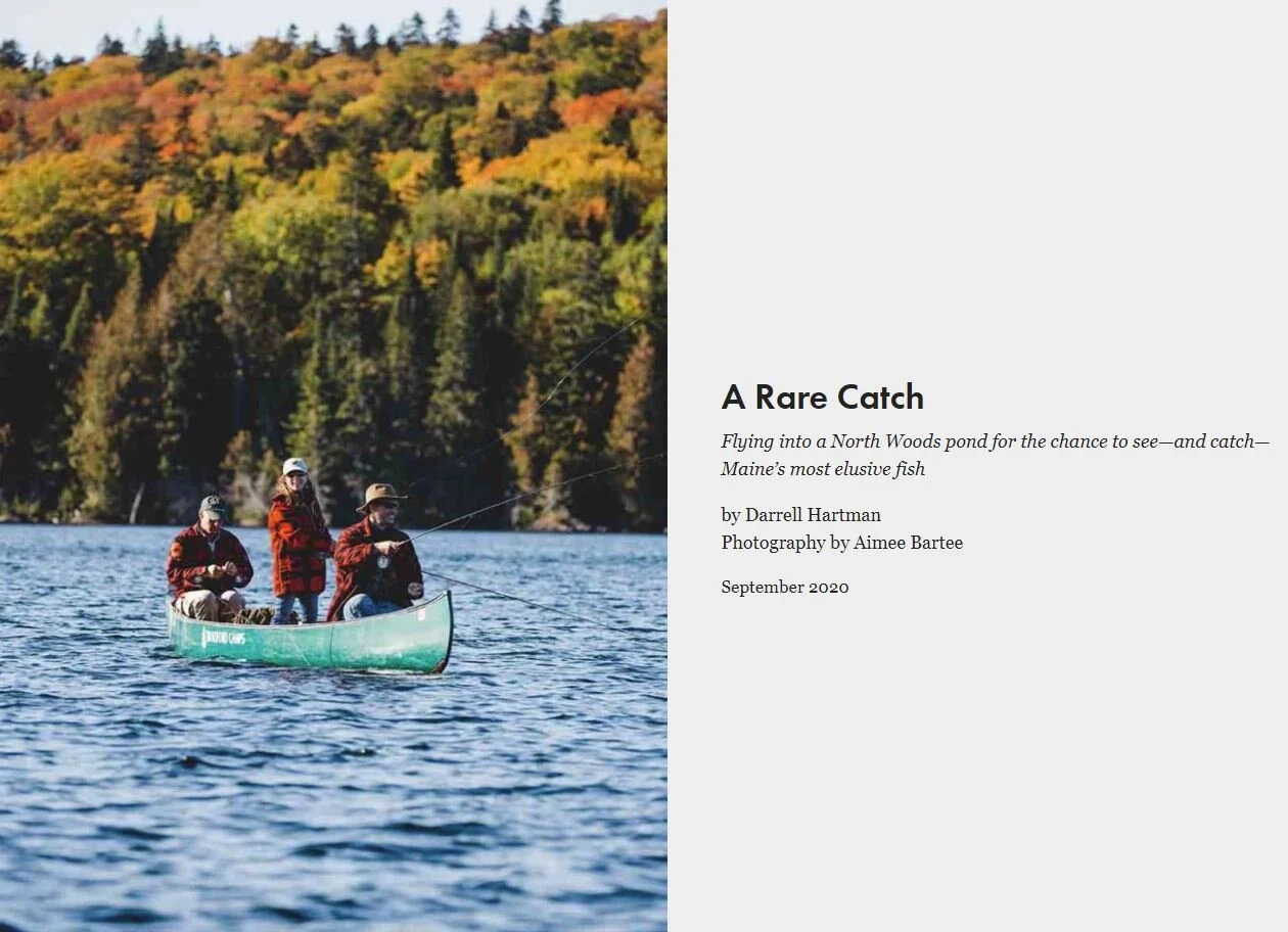 Maine Arctic Charr Article: NFC Calls It...