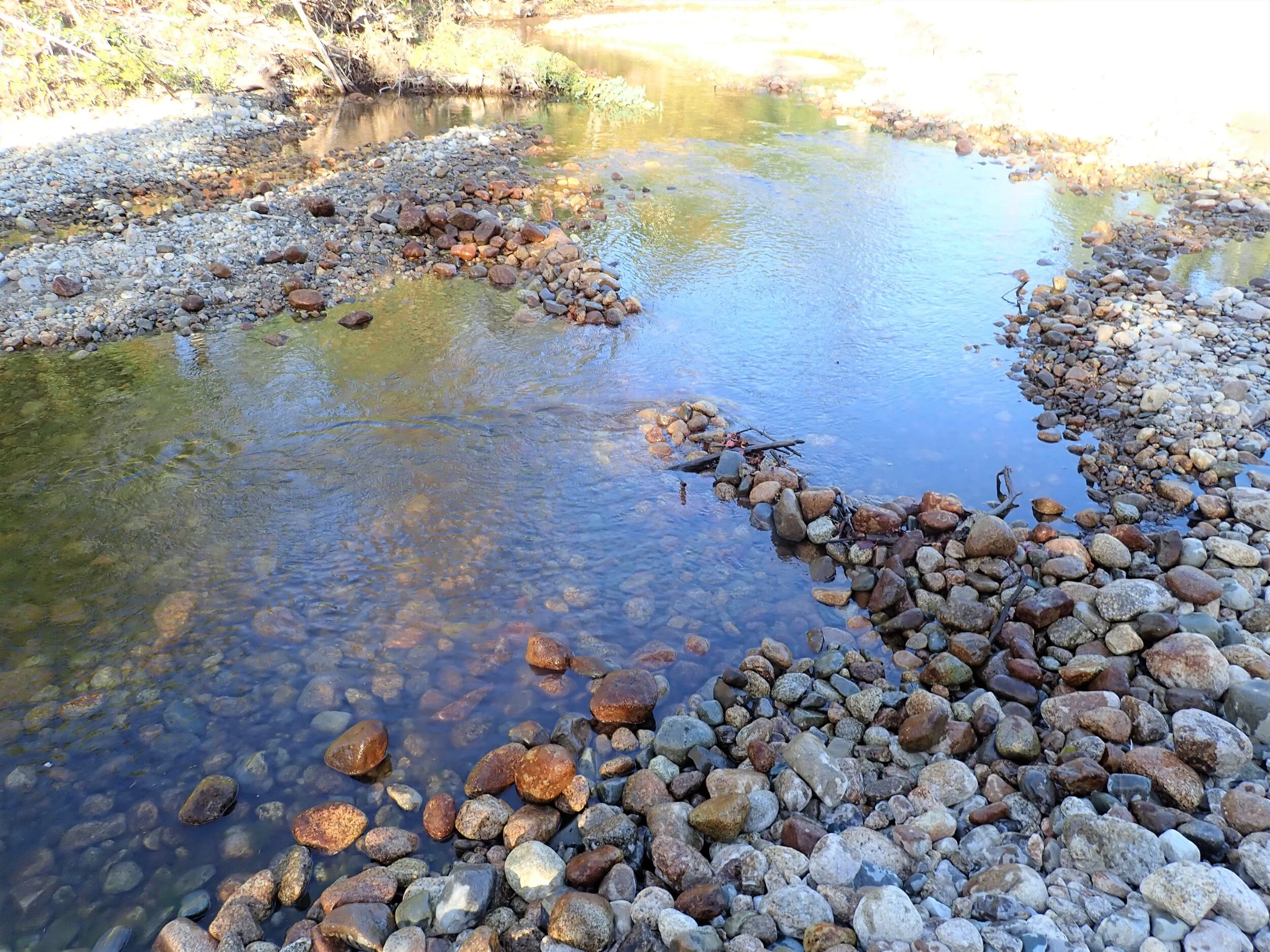 Rock Dam Gallery — Native Fish Coalition