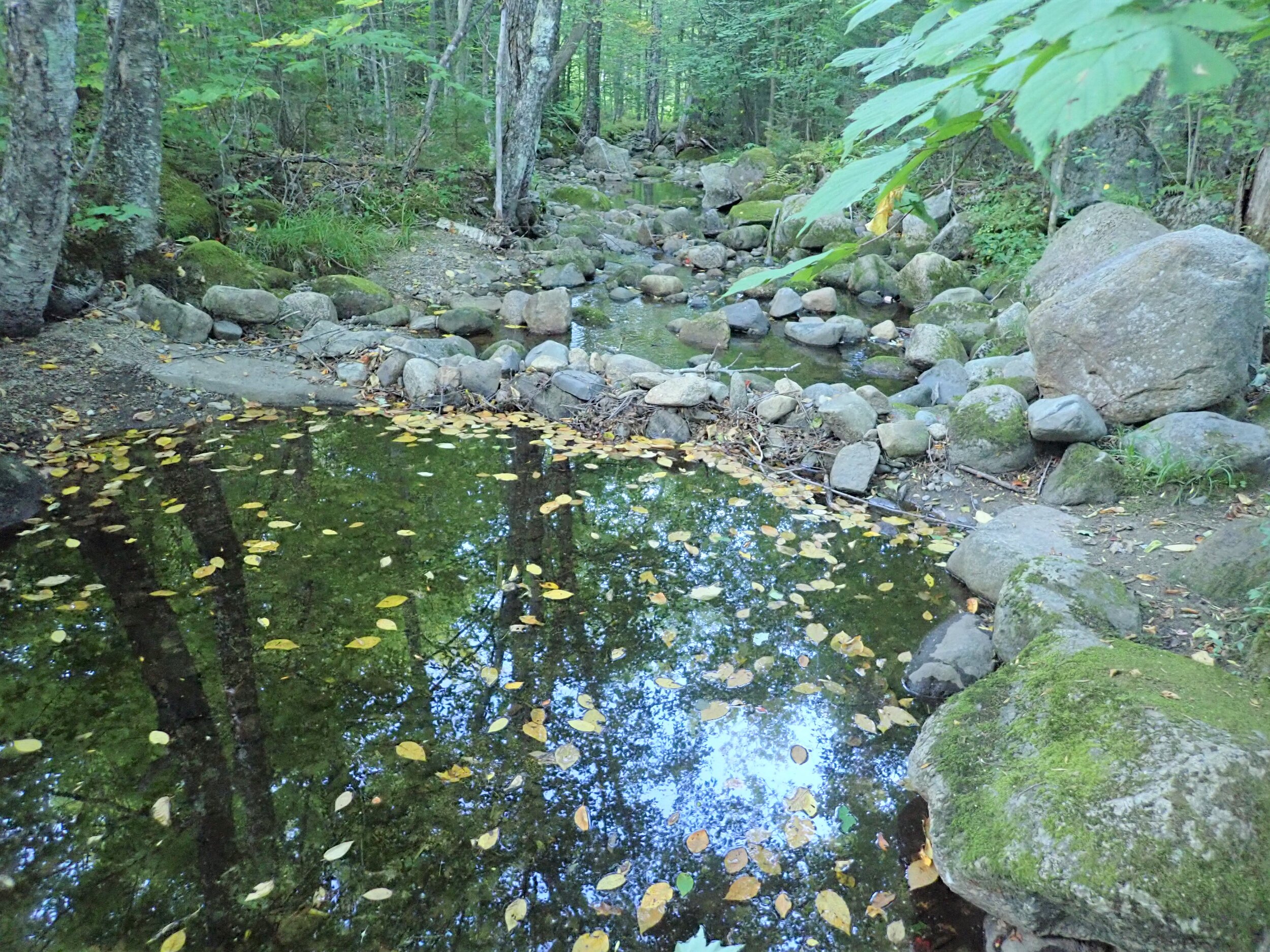 ROCK DAM - Appleby Brook (1).JPG