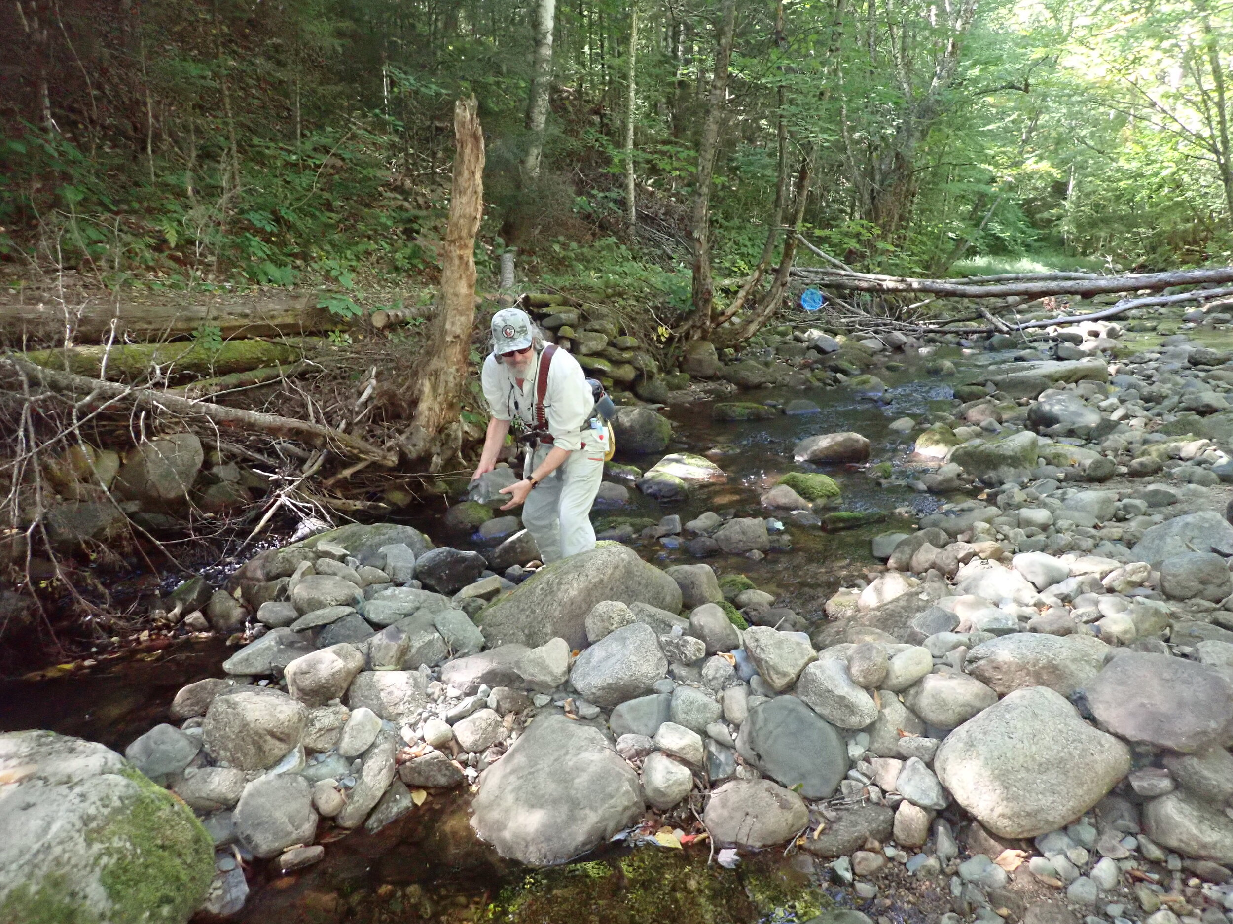 ROCK DAM - Mill Brook (lower) (8).JPG