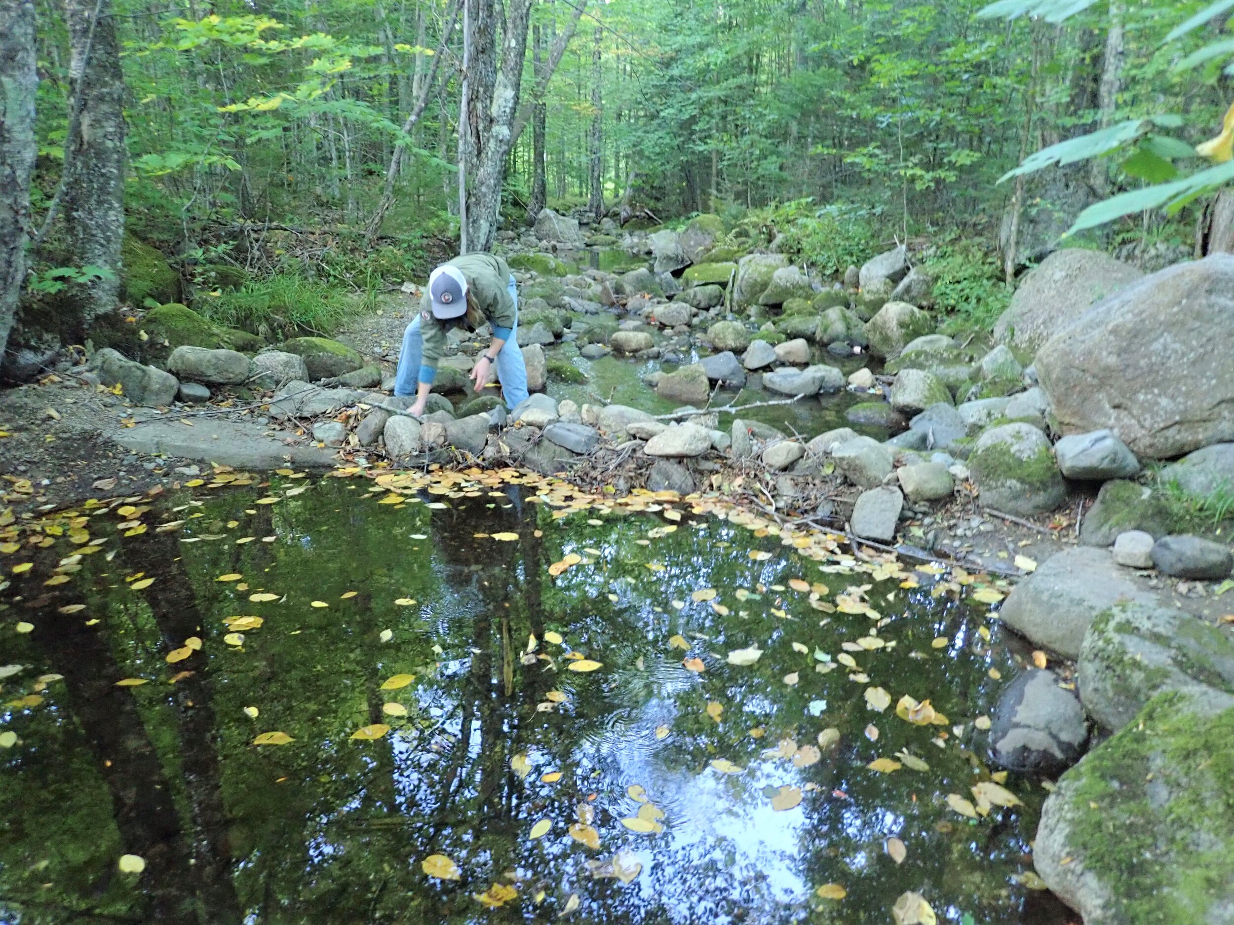 ROCK DAM - Appleby Brook (2).JPG