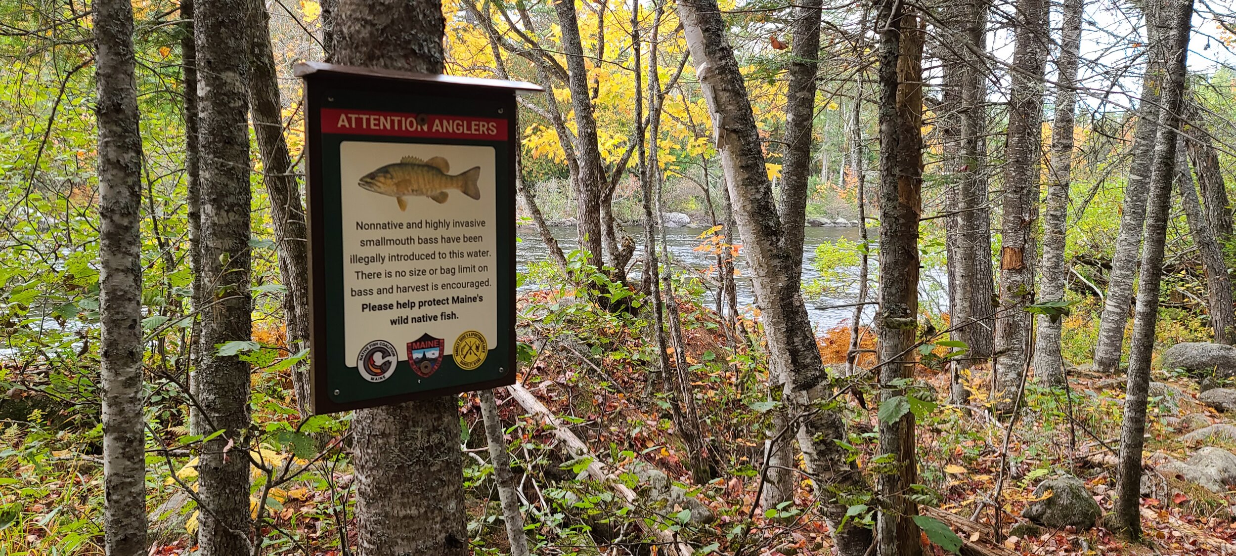 Rapid River bass signs - Gary (9).jpg