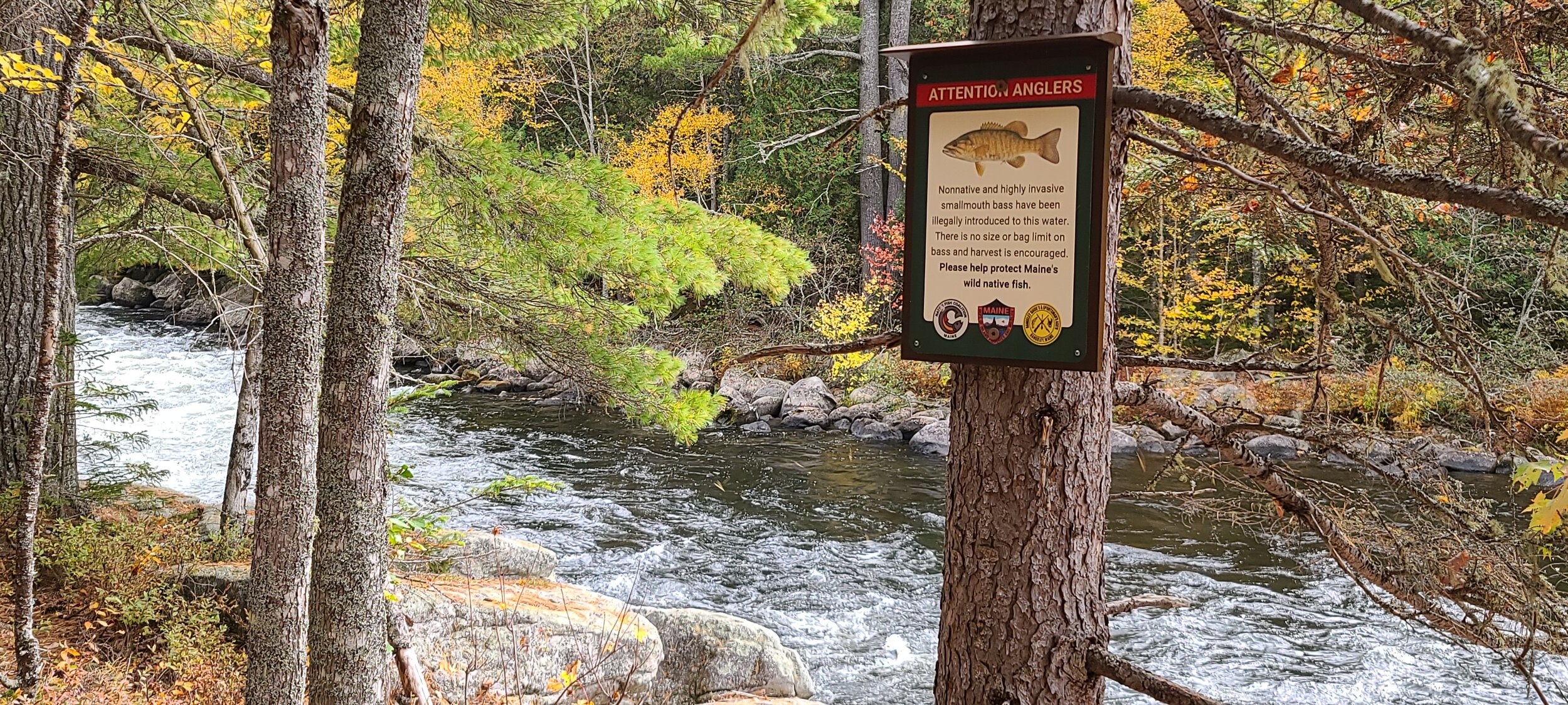 Rapid River bass signs - Gary (7).jpg