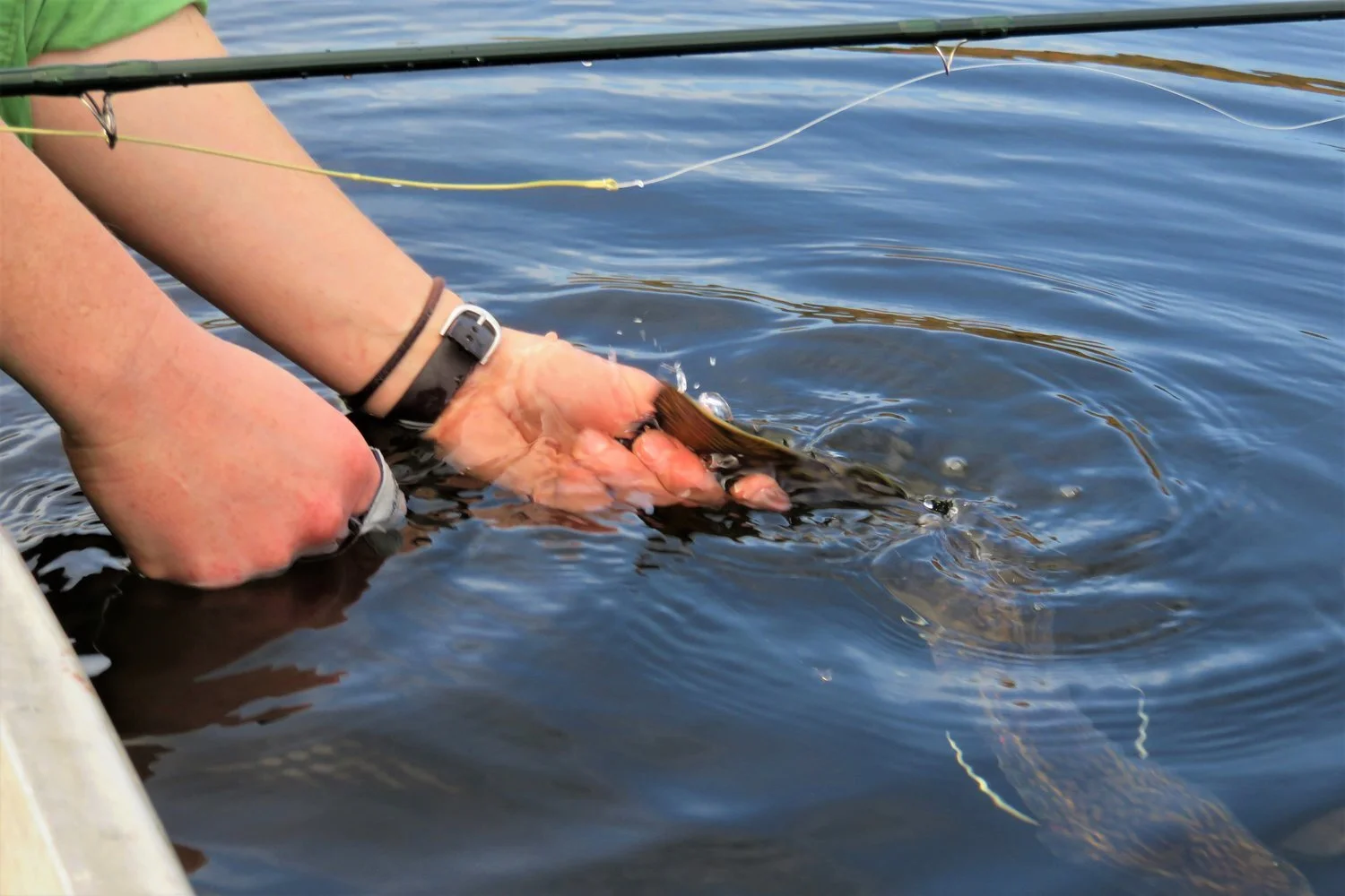 Proposed Changes to Forest Service Leasing Rule Could Affect Hunting and Fishing