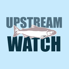 Upstream Watch.png
