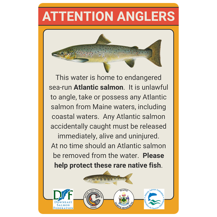 Maine Atlantic Salmon Sign