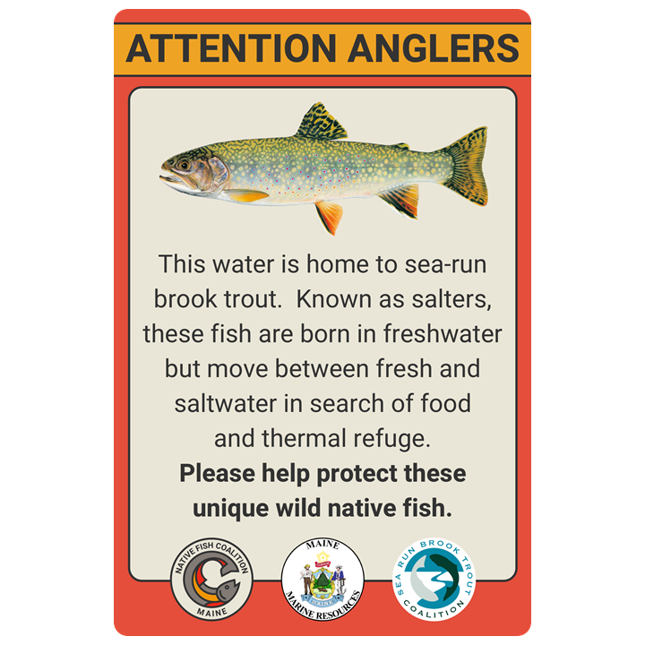 Maine Sea-Run Brook Trout Sign #2