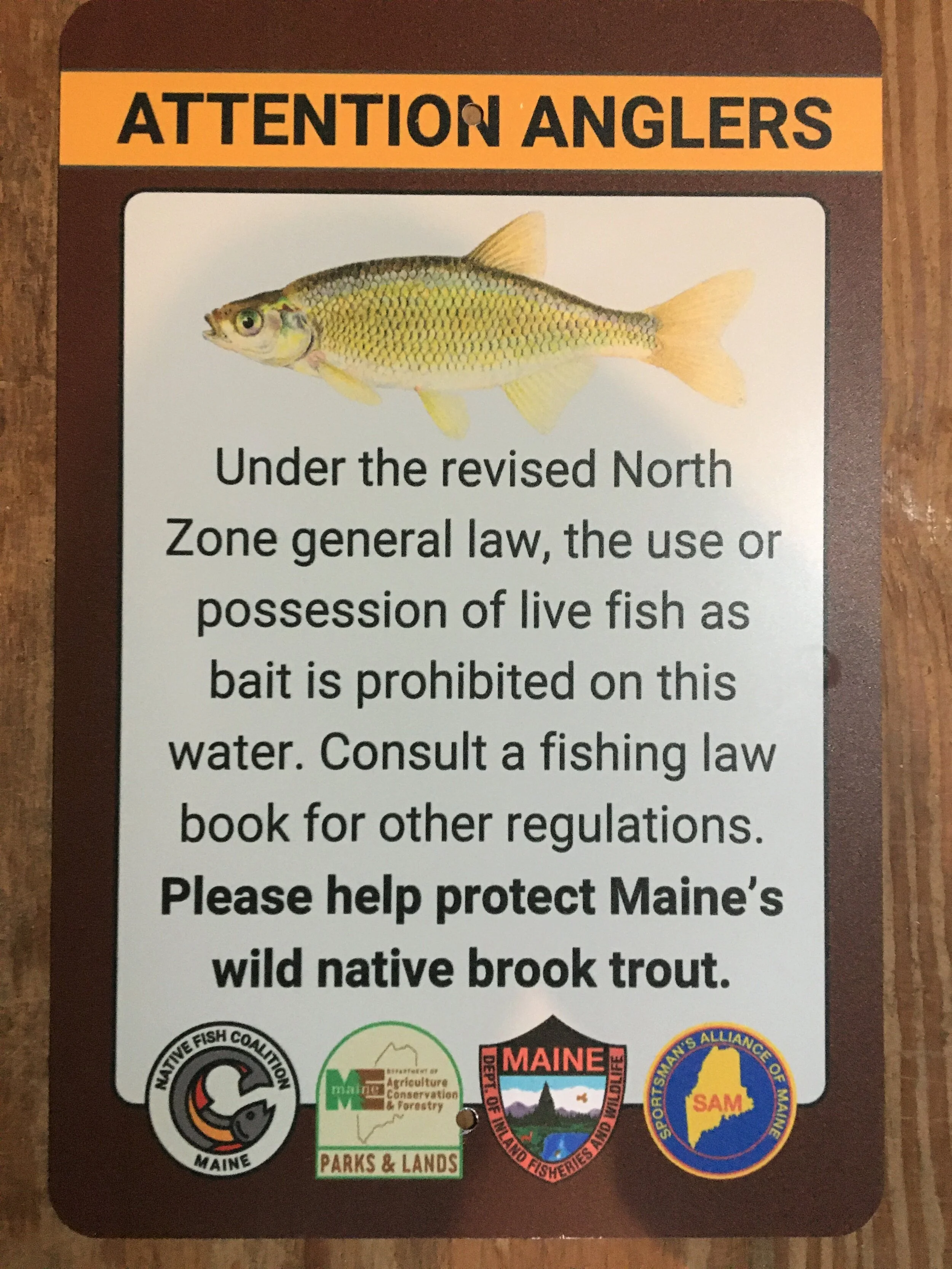 Maine NFC Launches New Live Fish as Bait Signs for State-Owned Lands 