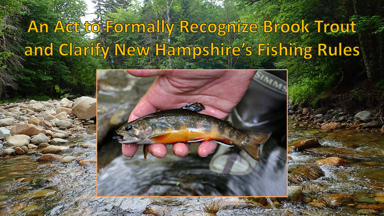 REDEFINING THE TERM BROOK TROUT IN NEW HAMPSHIRE