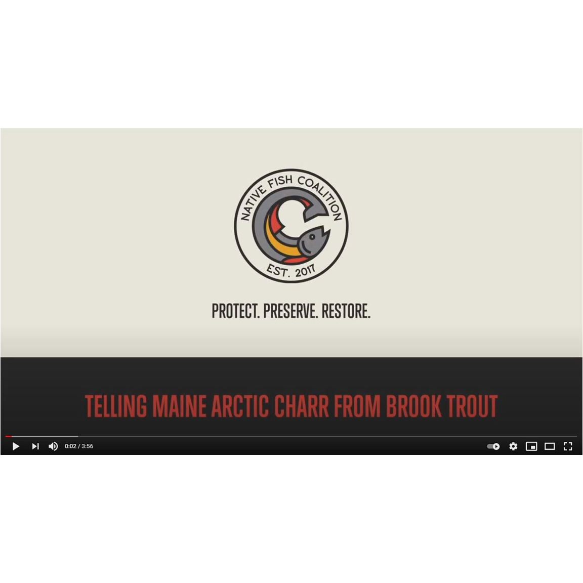 TELLING RARE ARCTIC CHARR FROM BROOK TROUT 