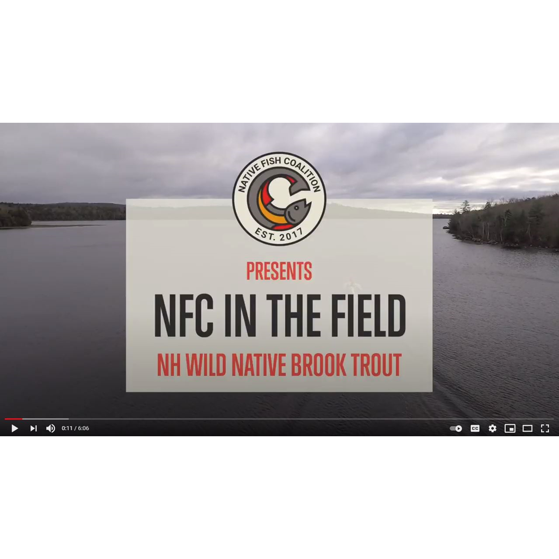 NEW HAMPSHIRE'S WILD NATIVE BROOK TROUT