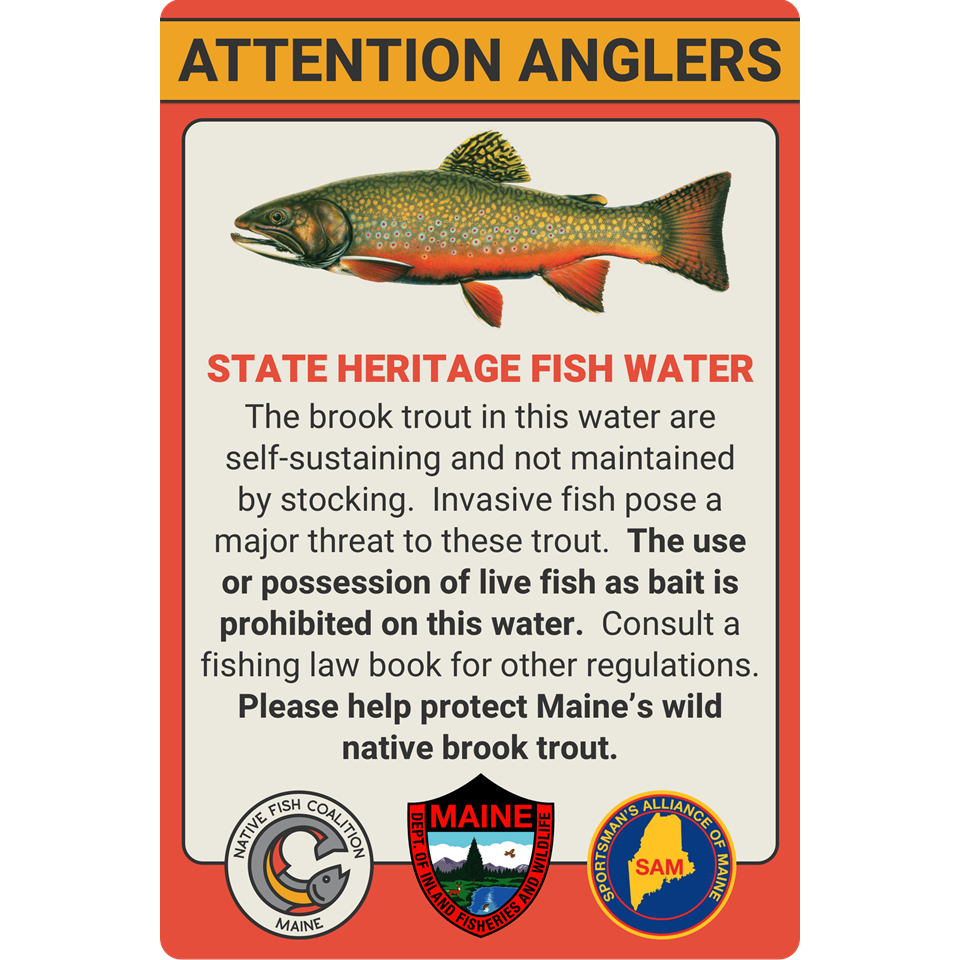 MAINE STATE HERITAGE FISH (STANDARD)