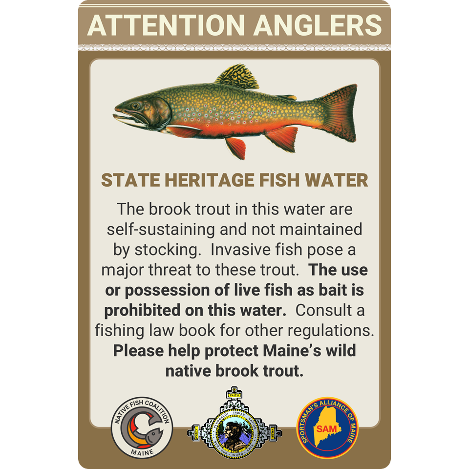 MAINE STATE HERITAGE FISH (PENOBSCOT NATION LAND)