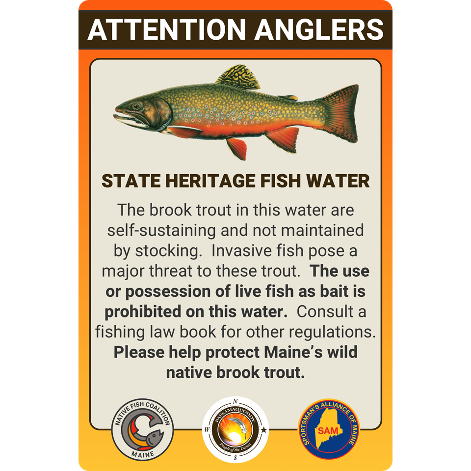 MAINE STATE HERITAGE FISH (PASSAMAQUODDY TRIBE LAND)