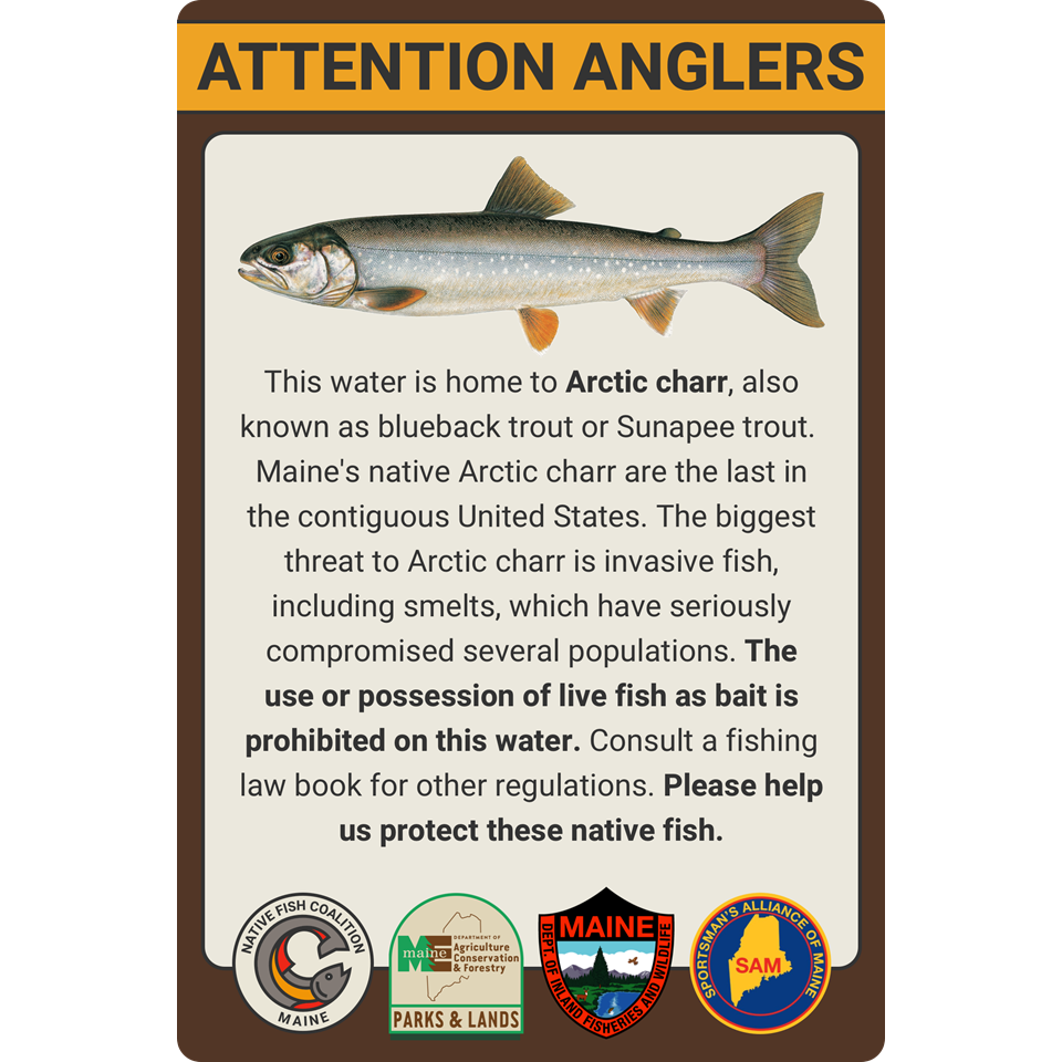 MAINE RARE ARCTIC CHARR (STATE-OWNED LAND)