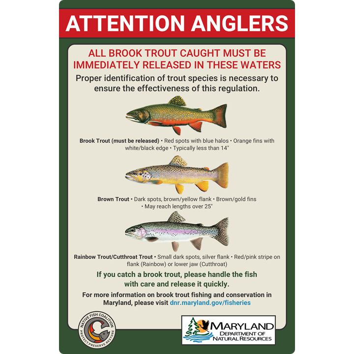 Maryland Brook Trout Catch-and-Release Signs