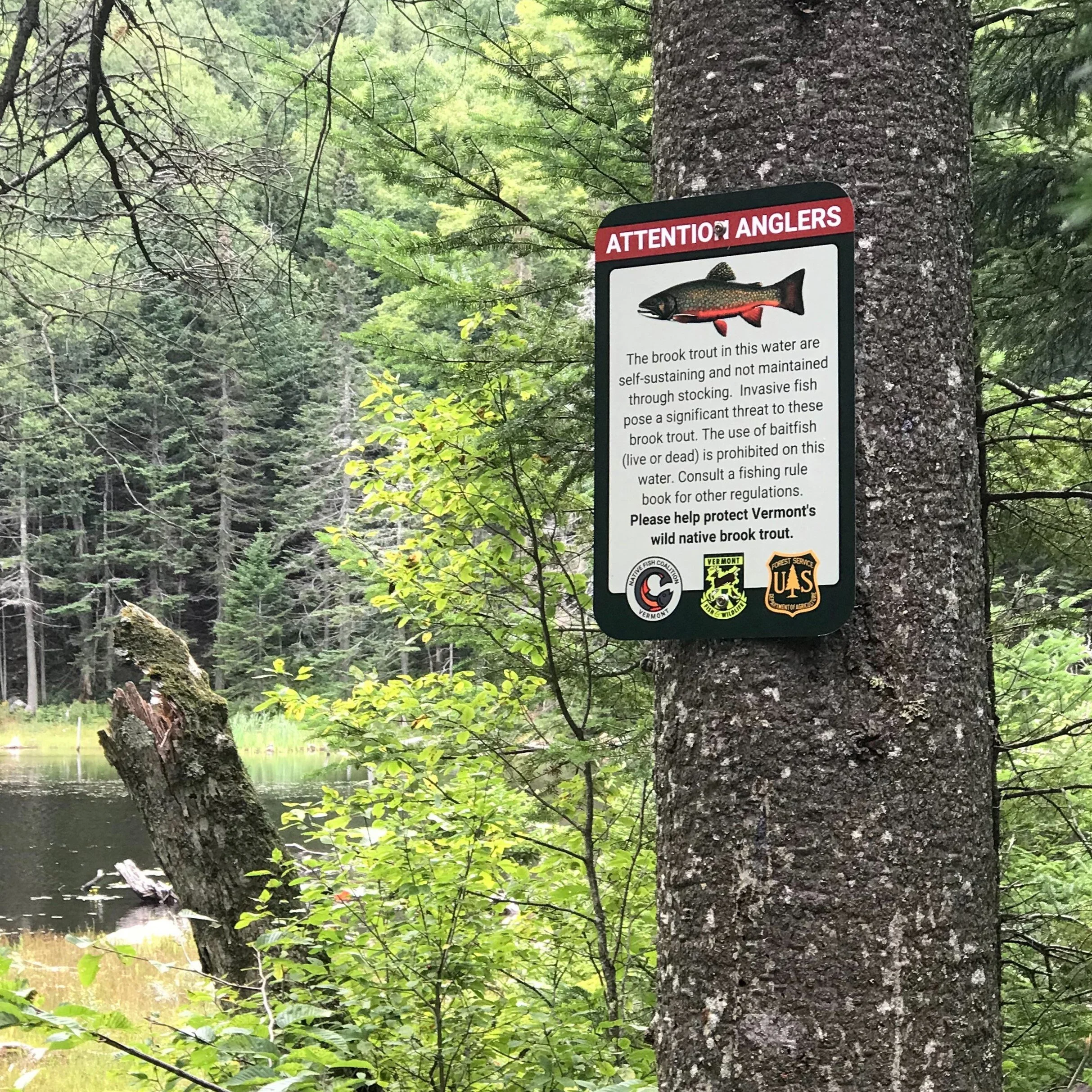 U.S. Forest Service Land in Vermont Gets No Baitfish Signs