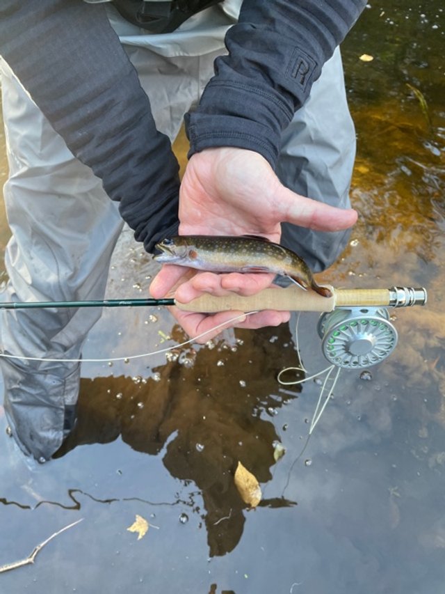 John Moore - Winston Pure fly rod2.jpeg