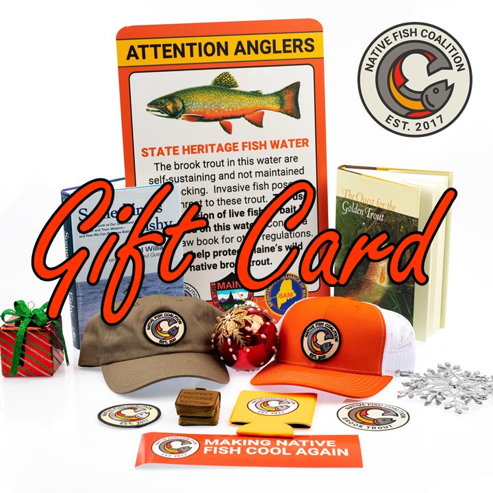 NFC Virtual Gift Card