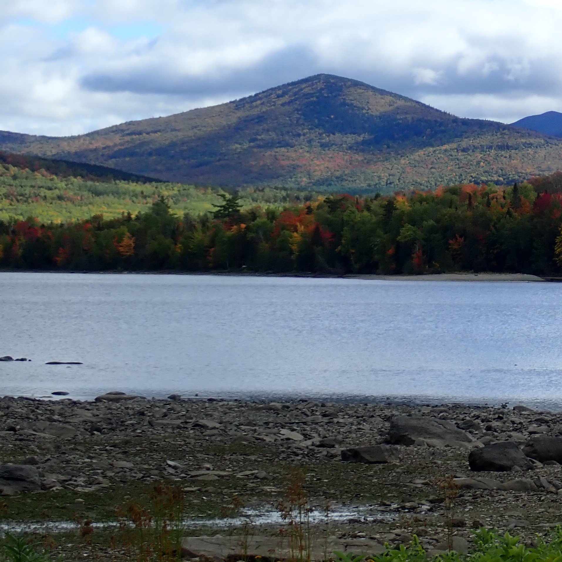 NFC Executive Director Bob Mallard Talks Climate Change