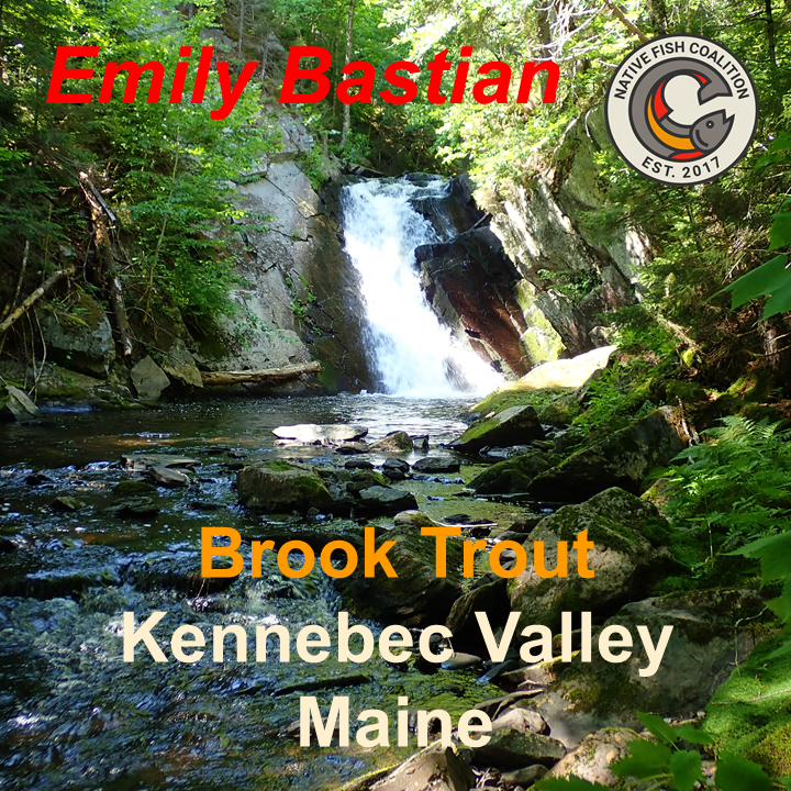 Guided Trip - Kennebec Valley, Maine