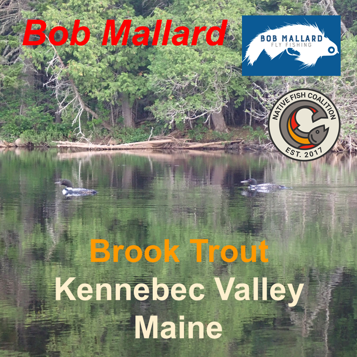 Guided Trip - Kennebec Valley, Maine