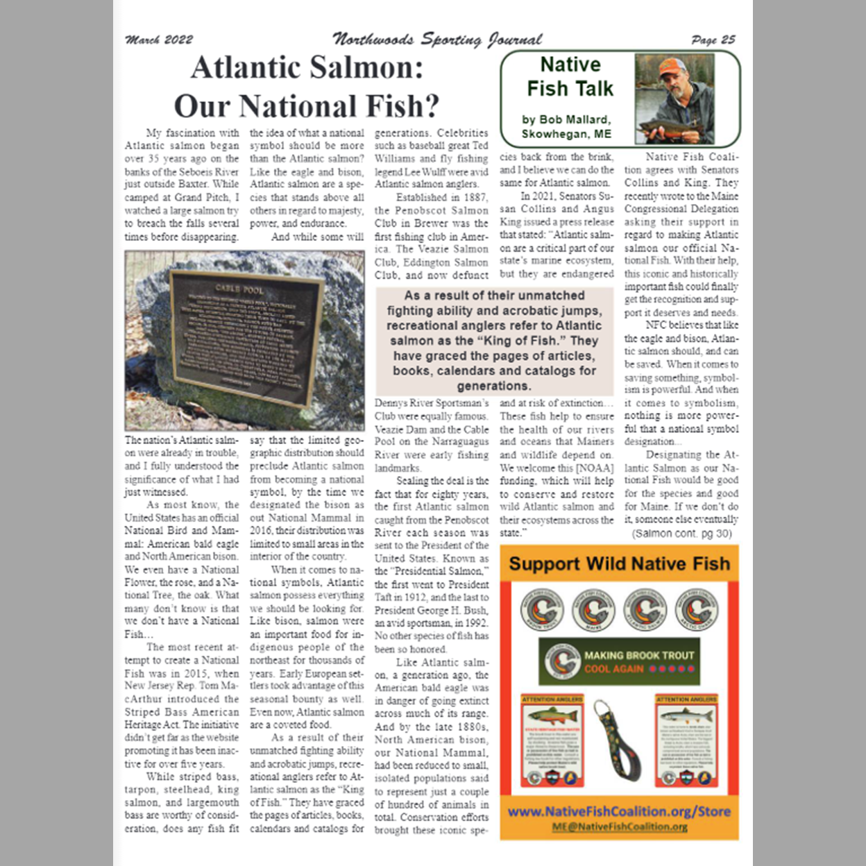 Atlantic Salmon as National Fish?