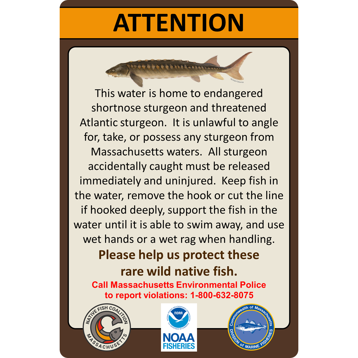 STURGEON SIGN - MASSACHUSETTS 
