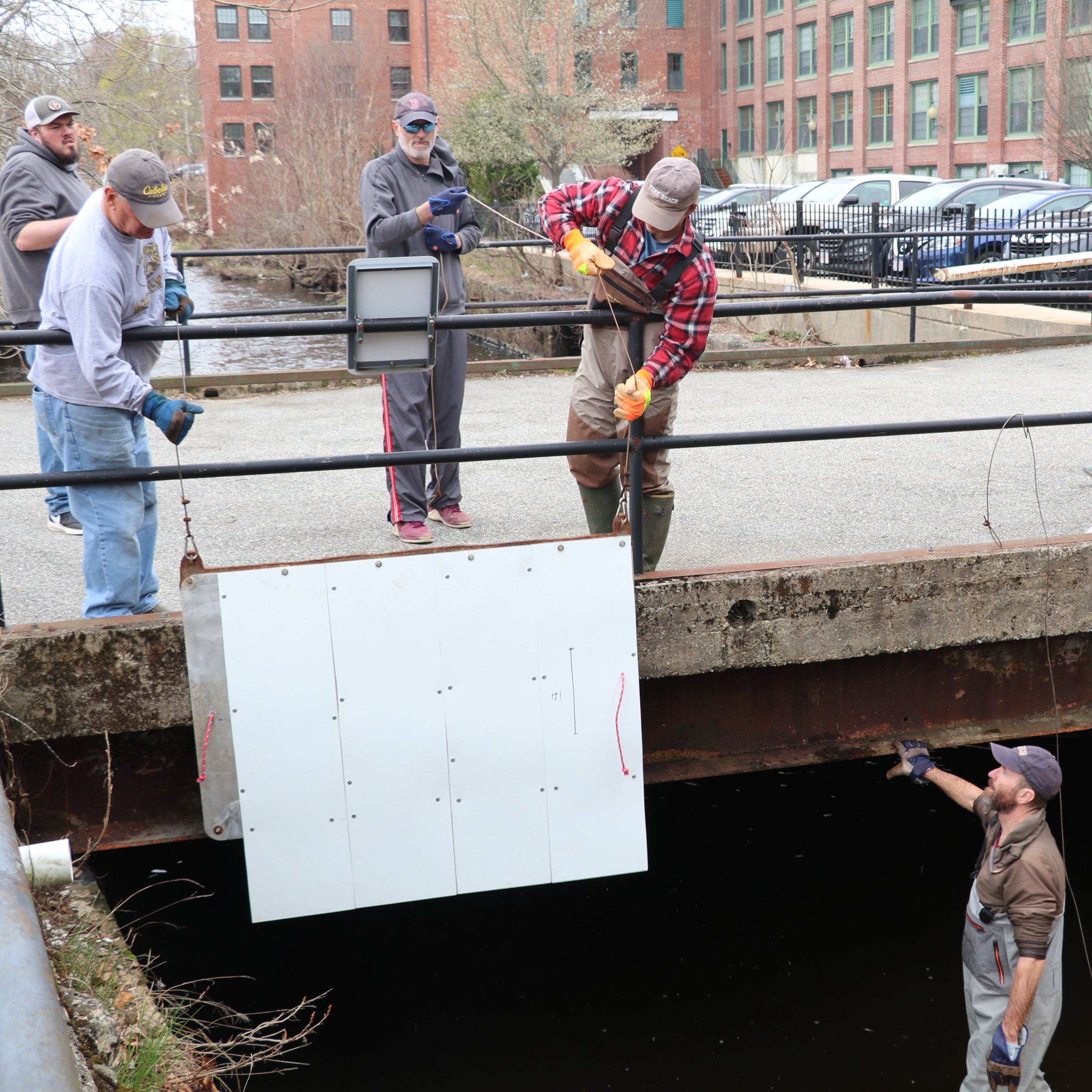 Shawsheen River herring plates (6) 2.jpg