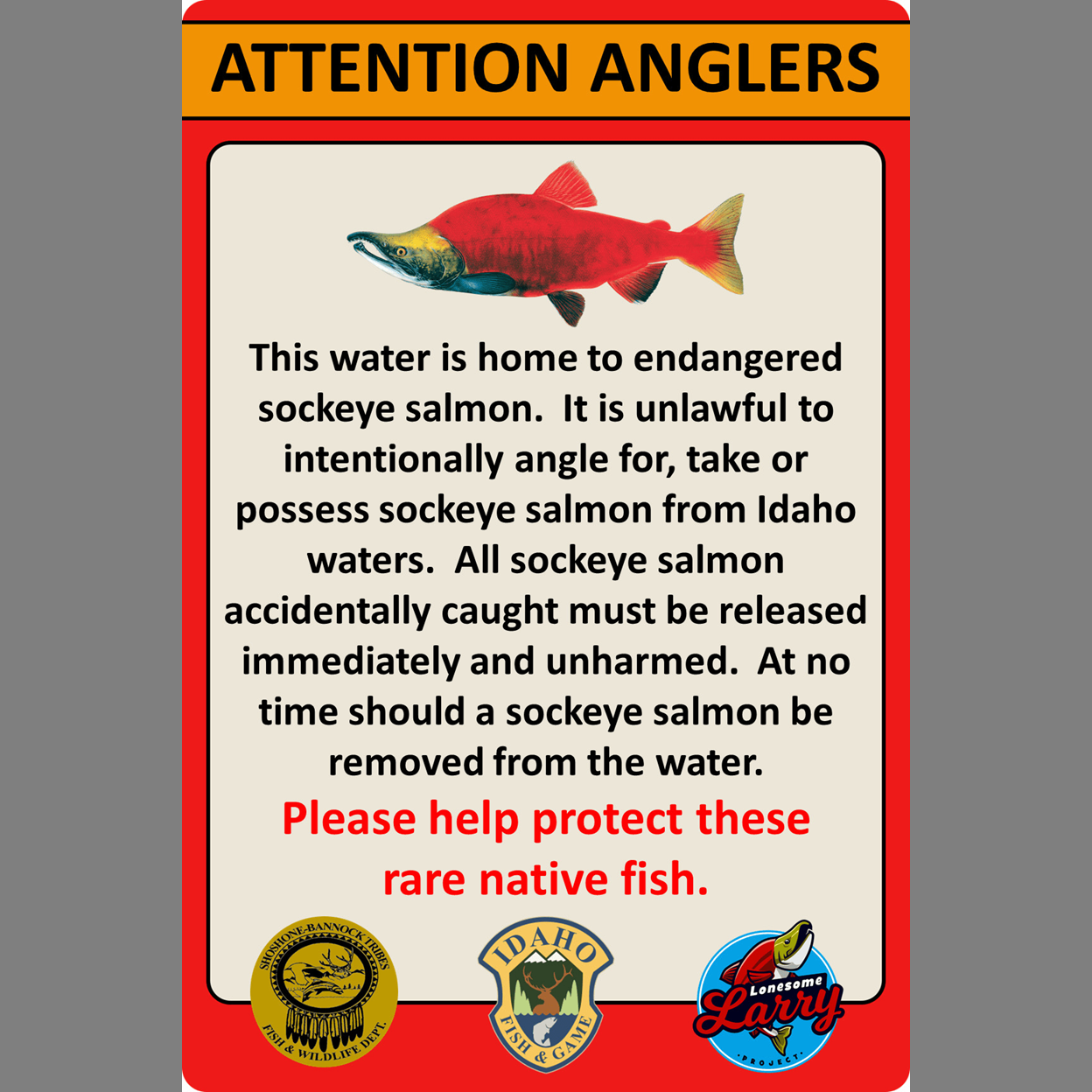 Idaho's Salmon River to Get Endangered Sockeye Salmon Informational Signs 