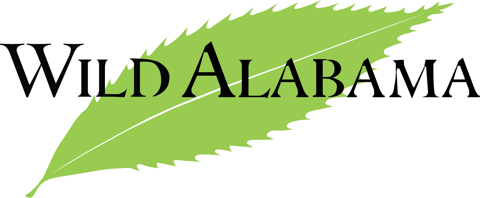 Wild Alabama logo (1).png