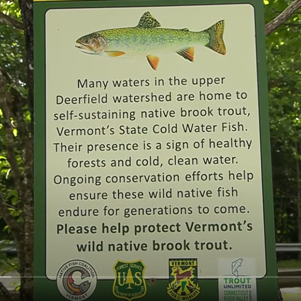 Vermont NFC Wild Native Brook Trout Signs Spotlighted in Video