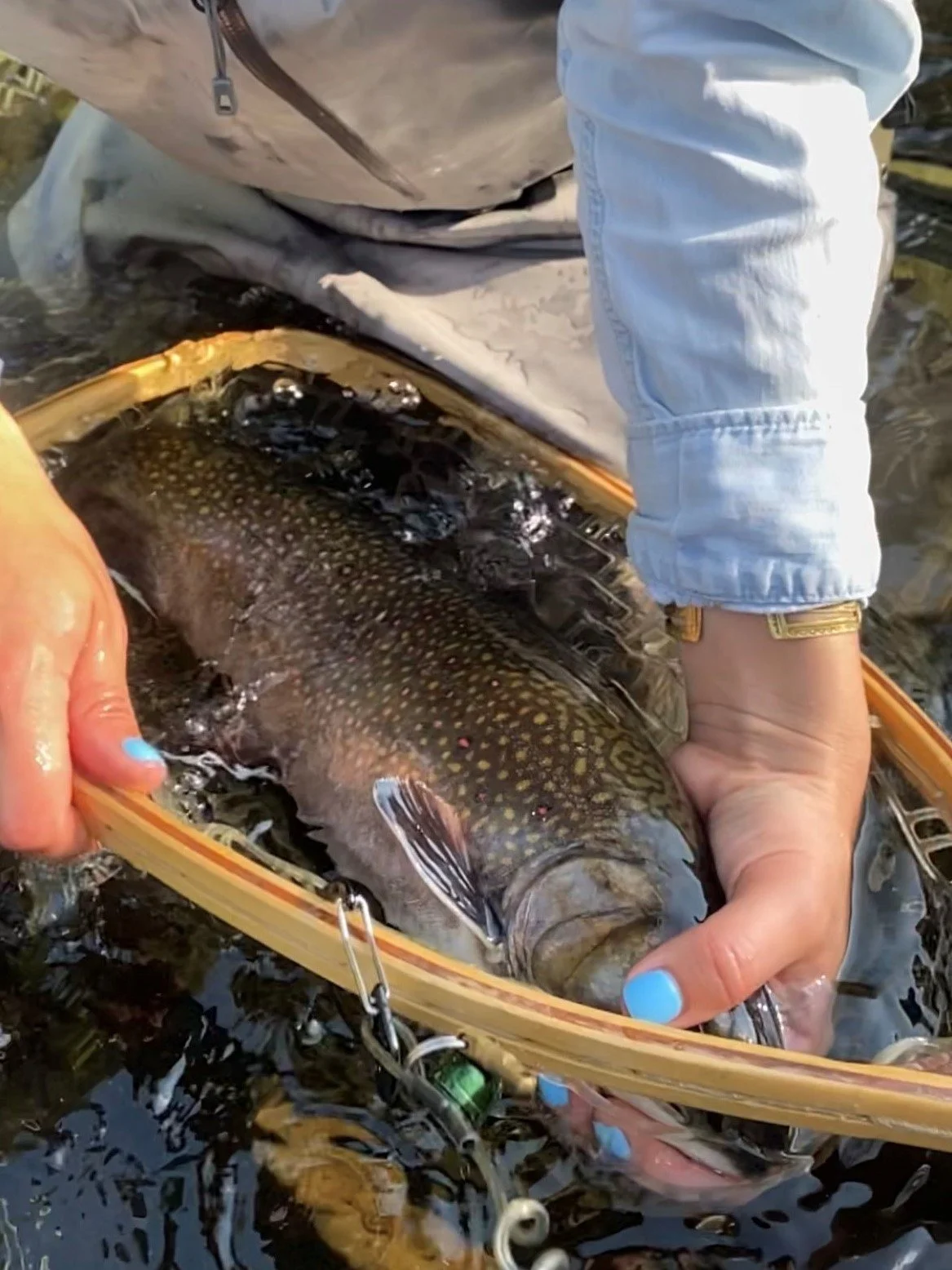 SAVANNA PATENAUDE — Native Fish Coalition