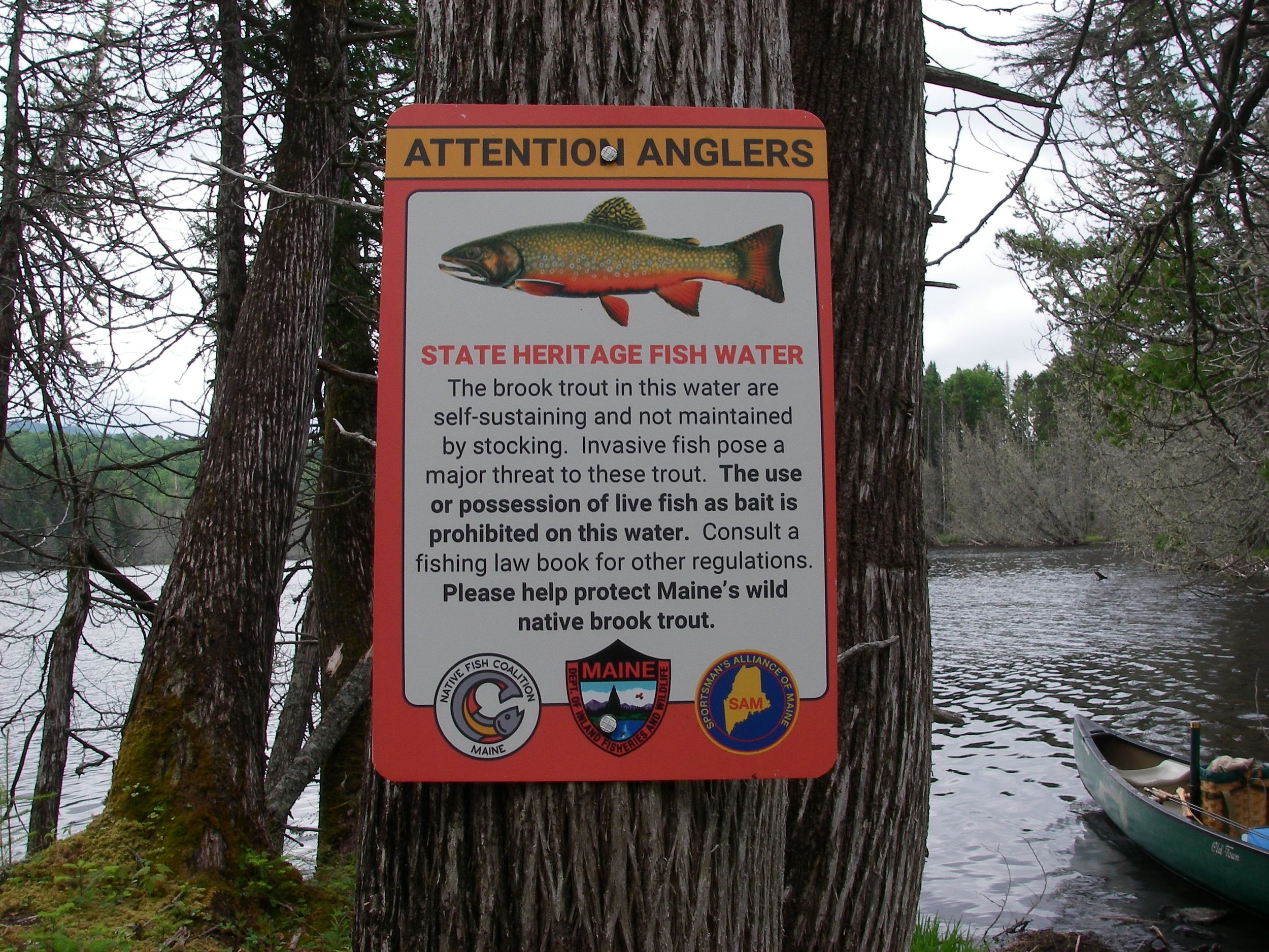 400th Maine State Heritage Fish Sign Posted
