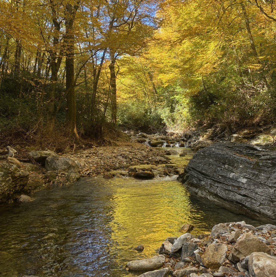 Appalachian Fall 1.jpg