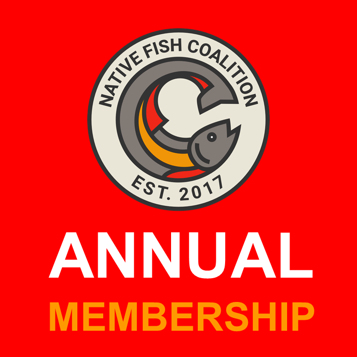 Annual Membership (Multiple Options)