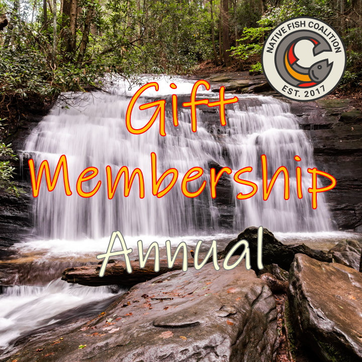 Gift Membership - Annual (Multiple Options)