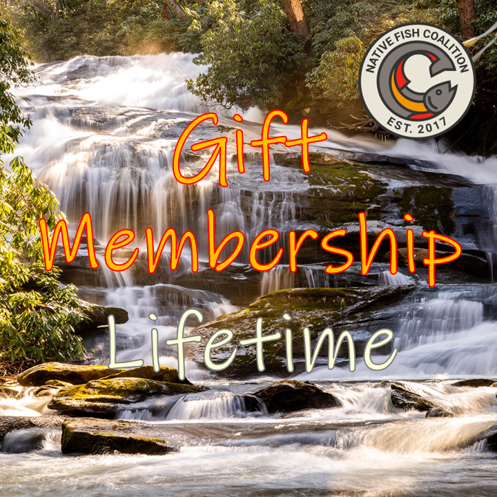 Gift Membership - Lifetime (Multiple Options)