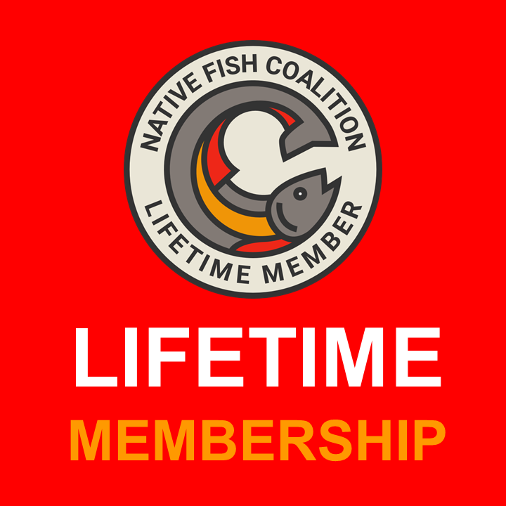 Lifetime Membership (Multiple Options)