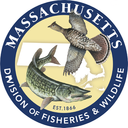 MassWildlife_web_logo_230-removebg-preview.png